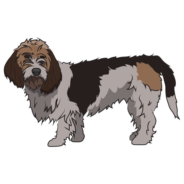 Signmission Petit Basset Griffon Vendeen Dog Decal, Dog Lover Decor Vinyl Sticker D-12-Petit Basset Griffon Vendeen - main
